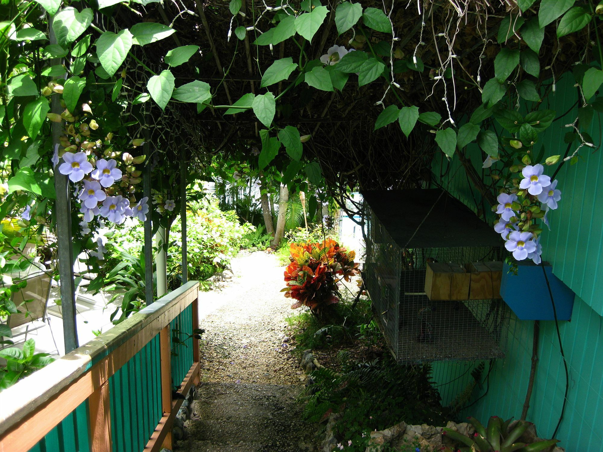 Lazy Parrot Inn Rincon Exterior photo