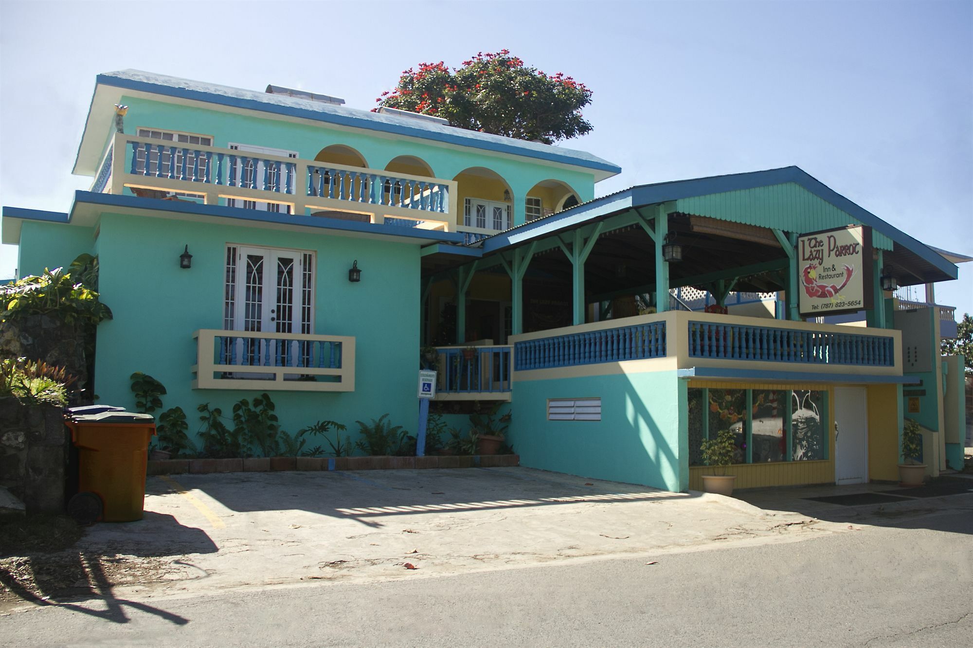 Lazy Parrot Inn Rincon Exterior photo